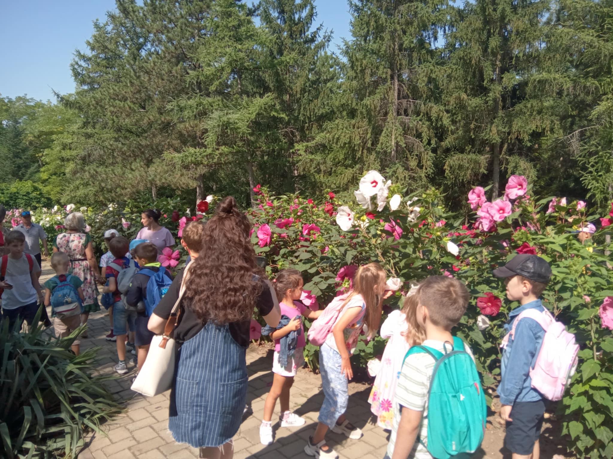 Parcuri dendrologice în vară